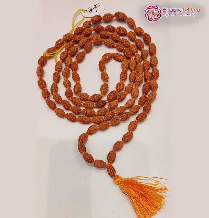 2 Face Rudrakash Mala 108 Beads